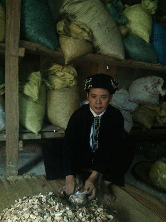 luong-xu-thanh-trieu-van-luu