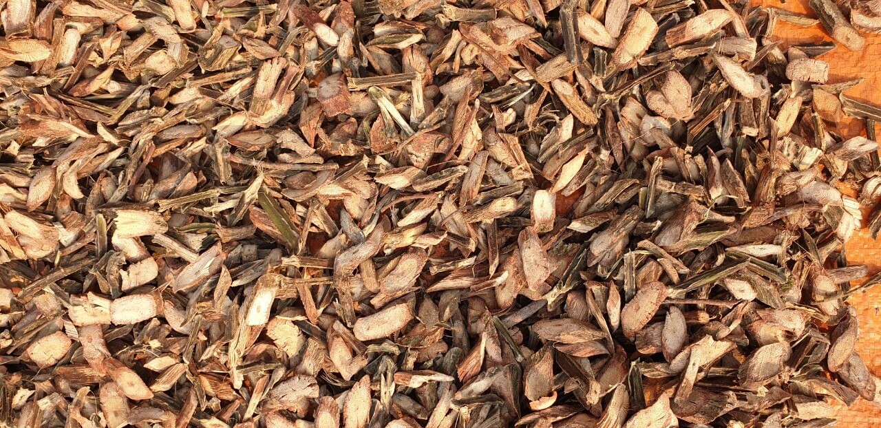 tat-ca-tu-thien-nhien